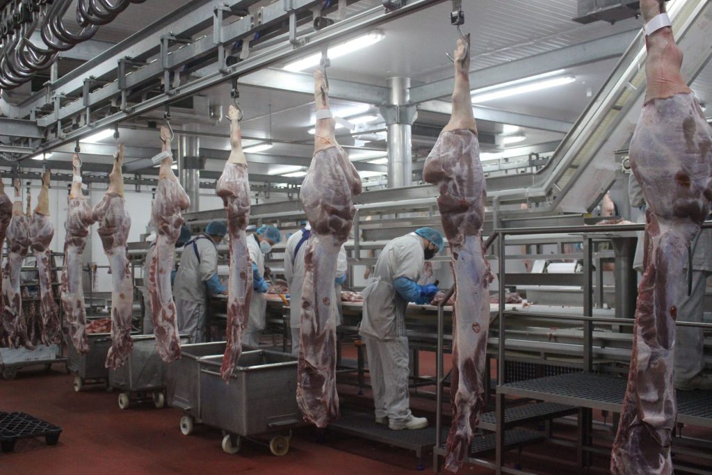 Higiene e segurança alimentar