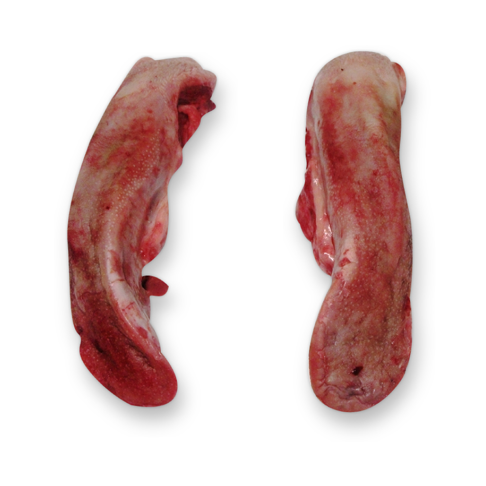 Congelados suino cabeca lingua corte suico