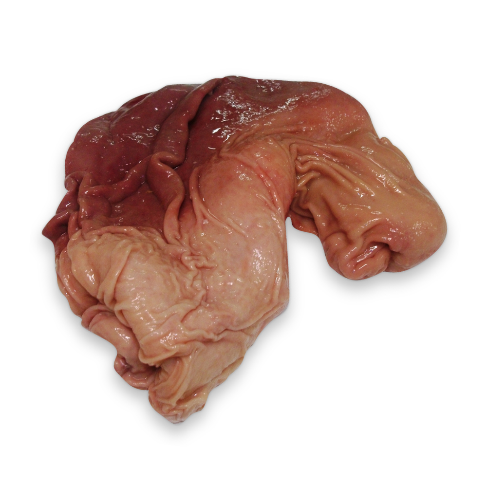 Congelados suino visceras bucho pouch cut