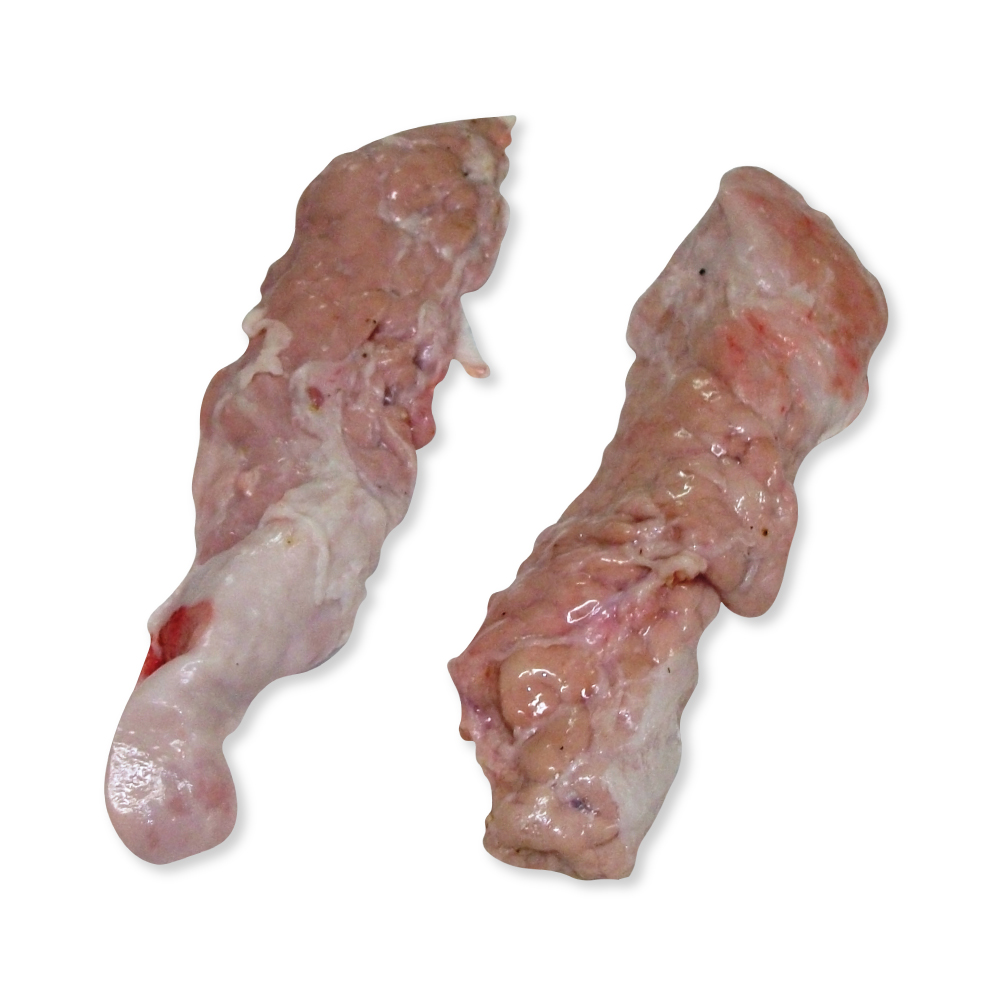Congelados suino visceras pancreas