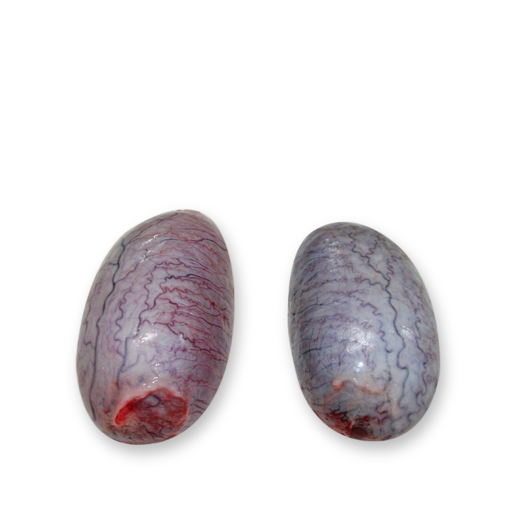 Congelados suino visceras tubaros