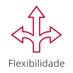 Flexibilidade